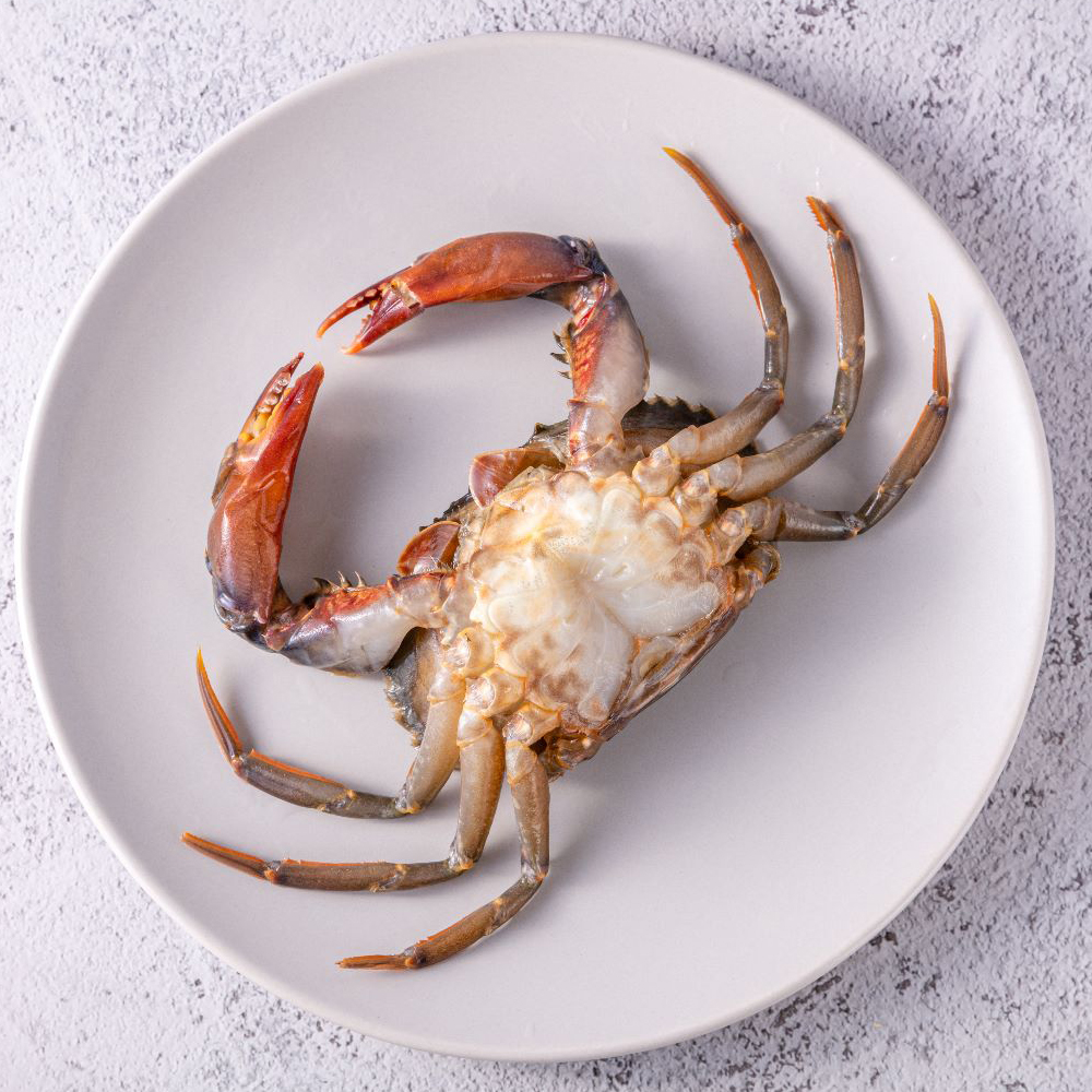 imported-soft-shell-crab-2
